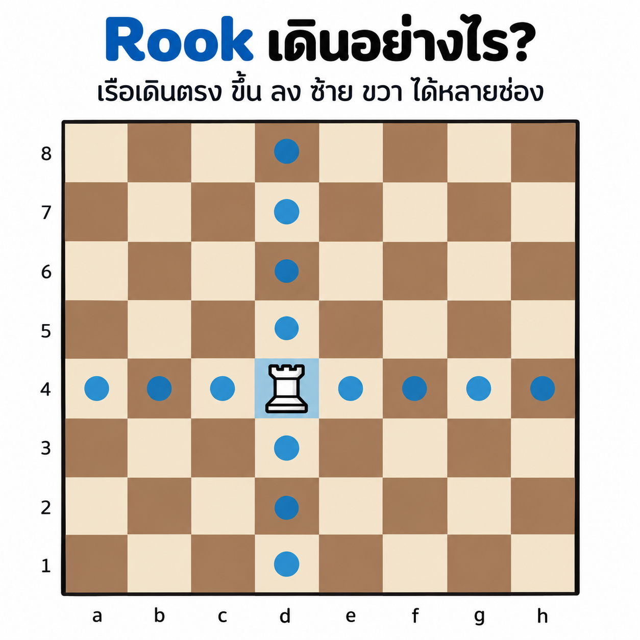 Rook